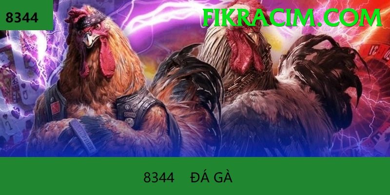 Đá Gà Trực Tiếp - f8bet
