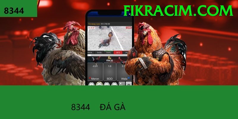 Đá Gà Trực Tiếp - Trải nghiệm tuyệt vời